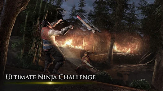 Ảnh giới thiệu Takashi Ninja Samurai Game — 3